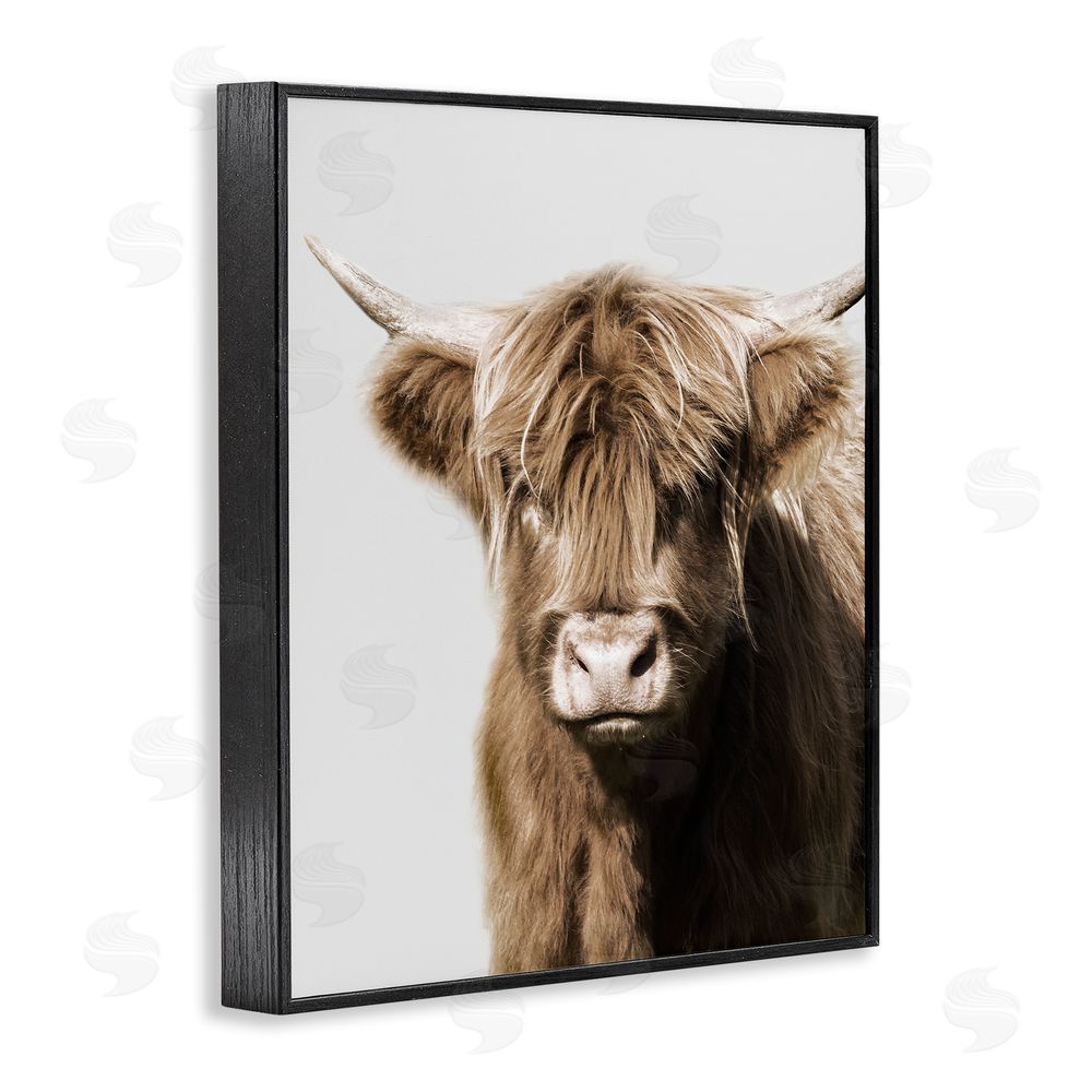 Danita Delimont Highland Cattle Close-Up Black Framed Giclee Wall Art Print