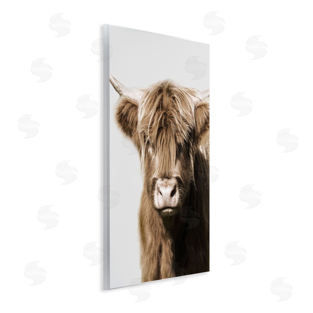 Danita Delimont Highland Cattle Close-Up Wall Plaque Art Print