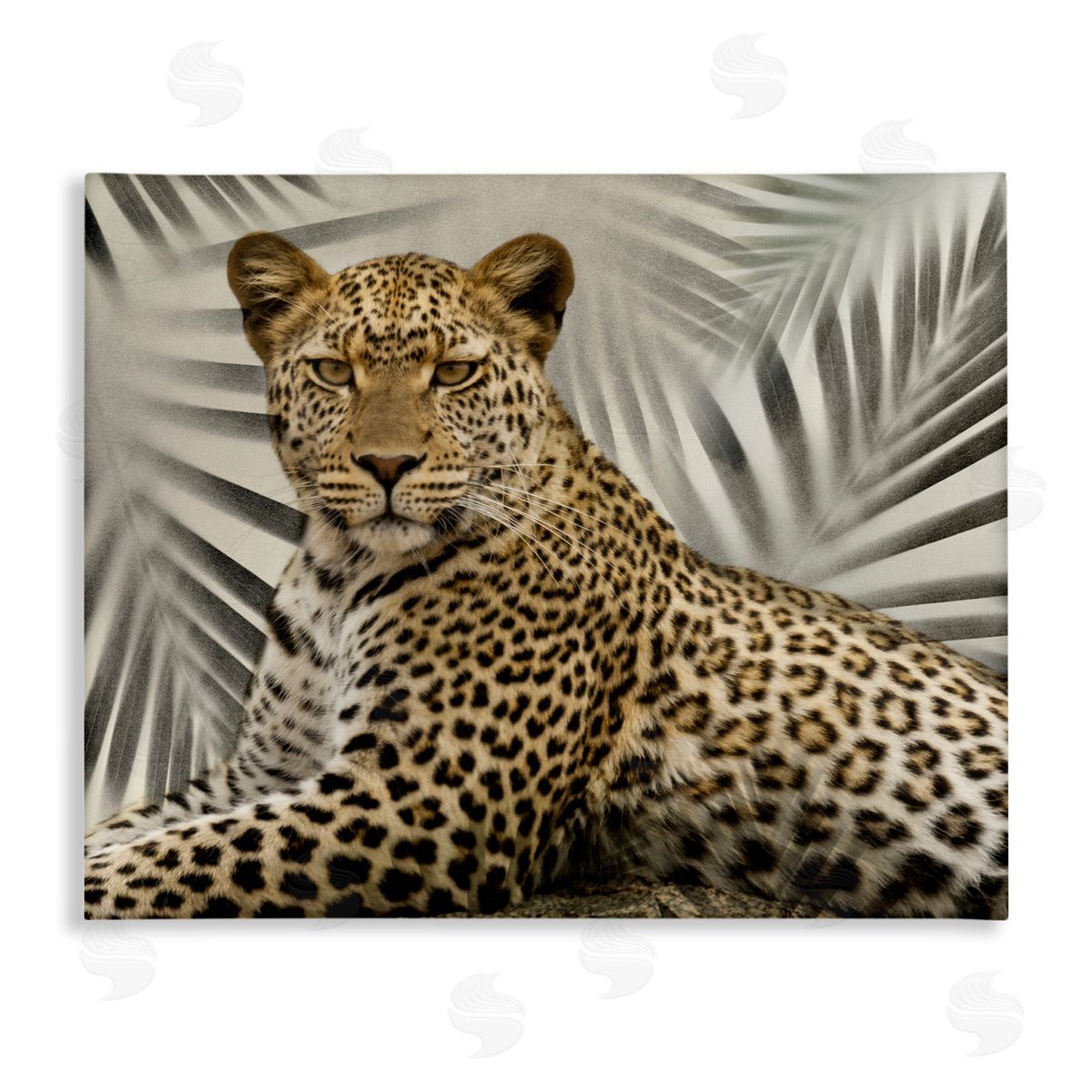Leopard with Palm Fronds Canvas Wall Art, Home Decor by Danita Delimont