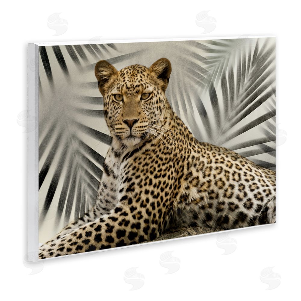 Danita Delimont Leopard with Palm Fronds Wall Plaque Art Print