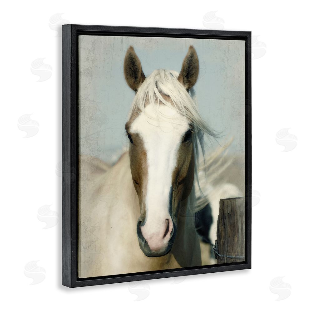 Rhonda Addison Horse at Rustic Fence Black Floating Frame Canvas Wall Art Print