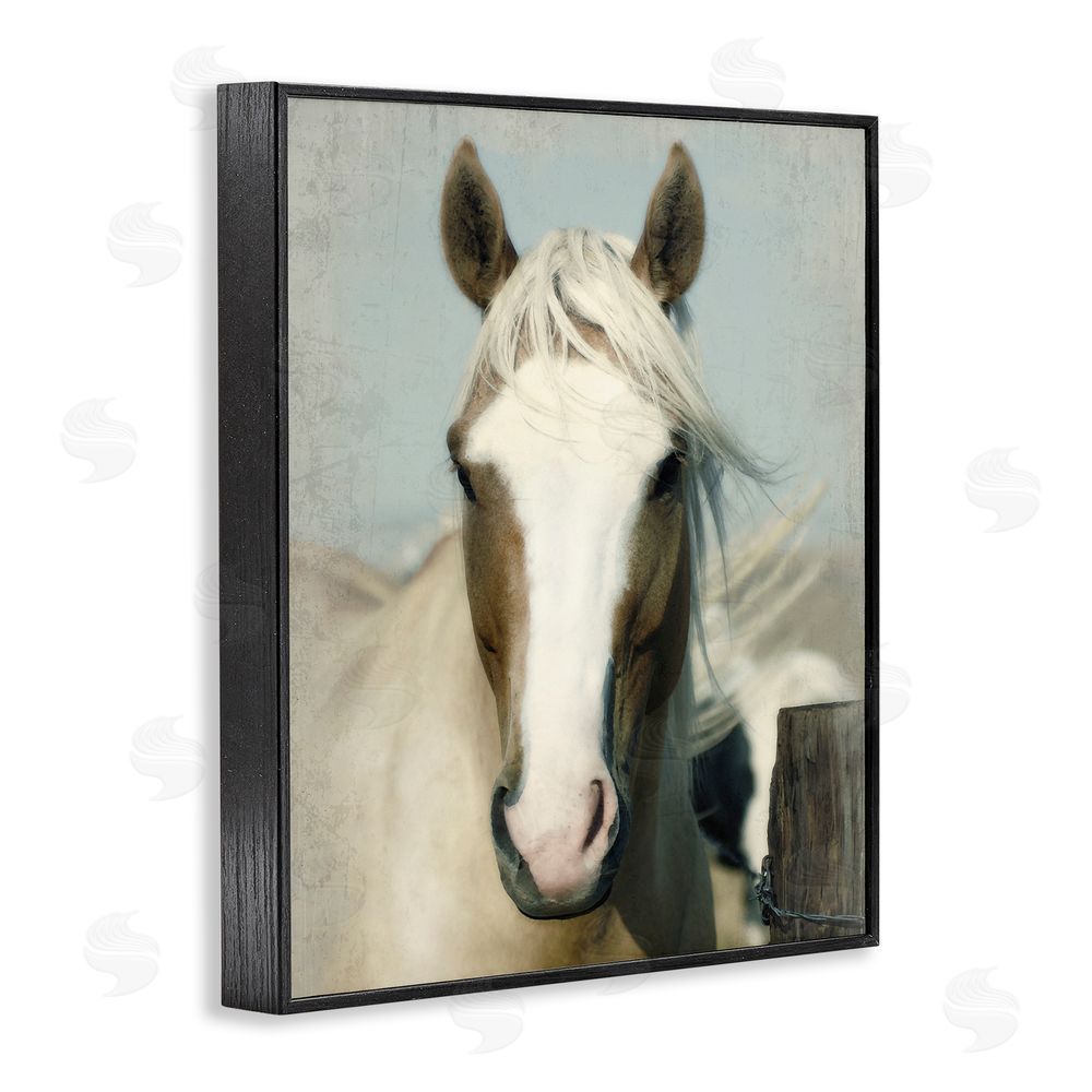 Rhonda Addison Horse at Rustic Fence Black Framed Giclee Wall Art Print