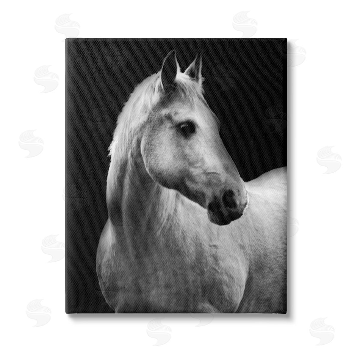 Danita Delimont Horse on Black Portrait Stretched Canvas Wall Art Print