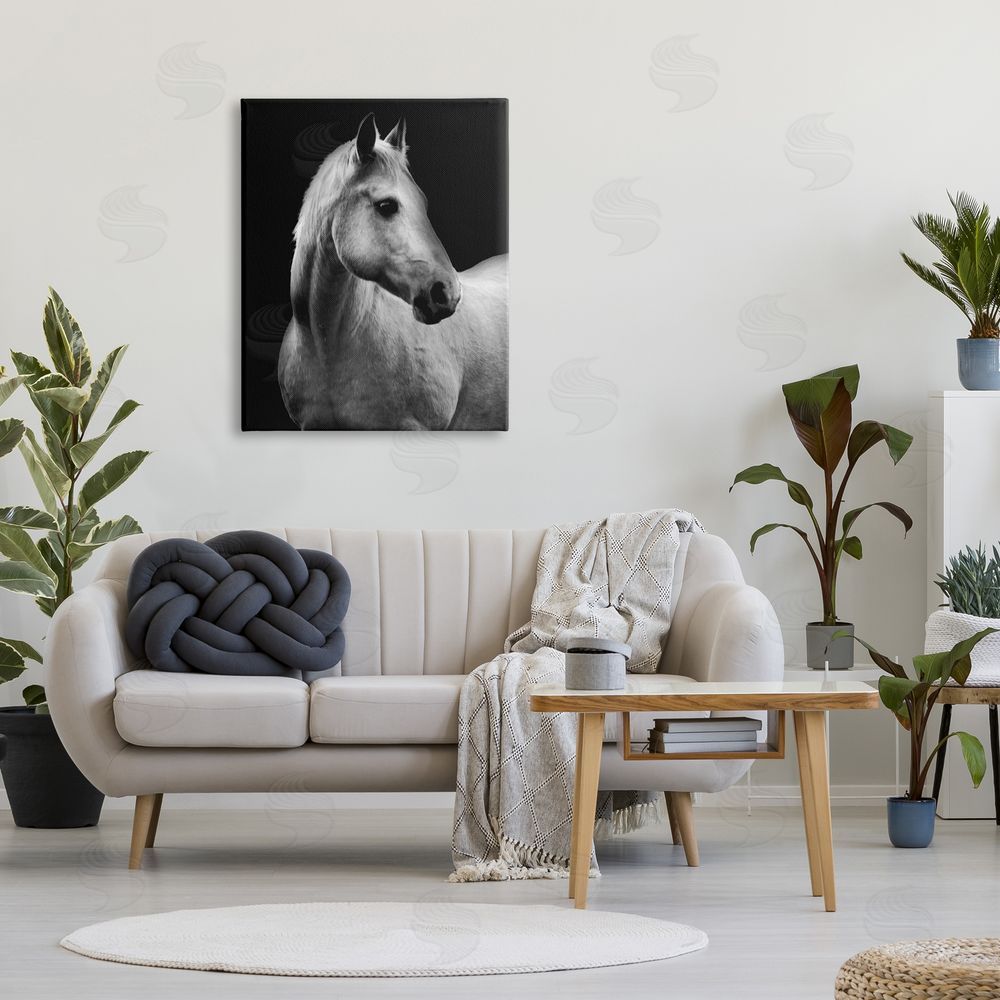 Danita Delimont Horse on Black Portrait Canvas Wall Art Print in Room