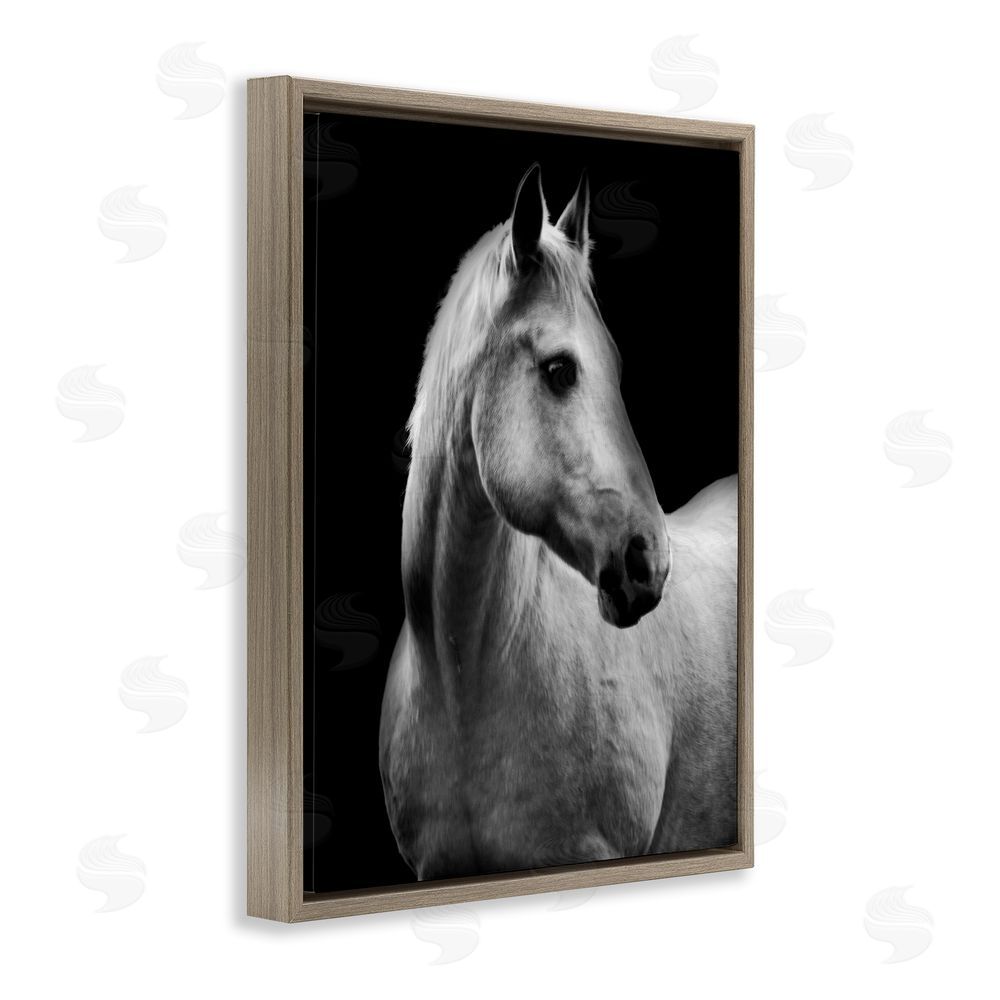 Danita Delimont Horse on Black Portrait Brown Floating Frame Canvas Wall Art Print