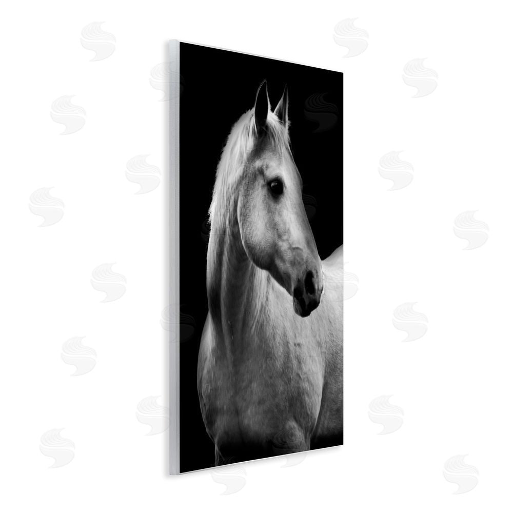 Danita Delimont Horse on Black Portrait Wall Plaque Art Print