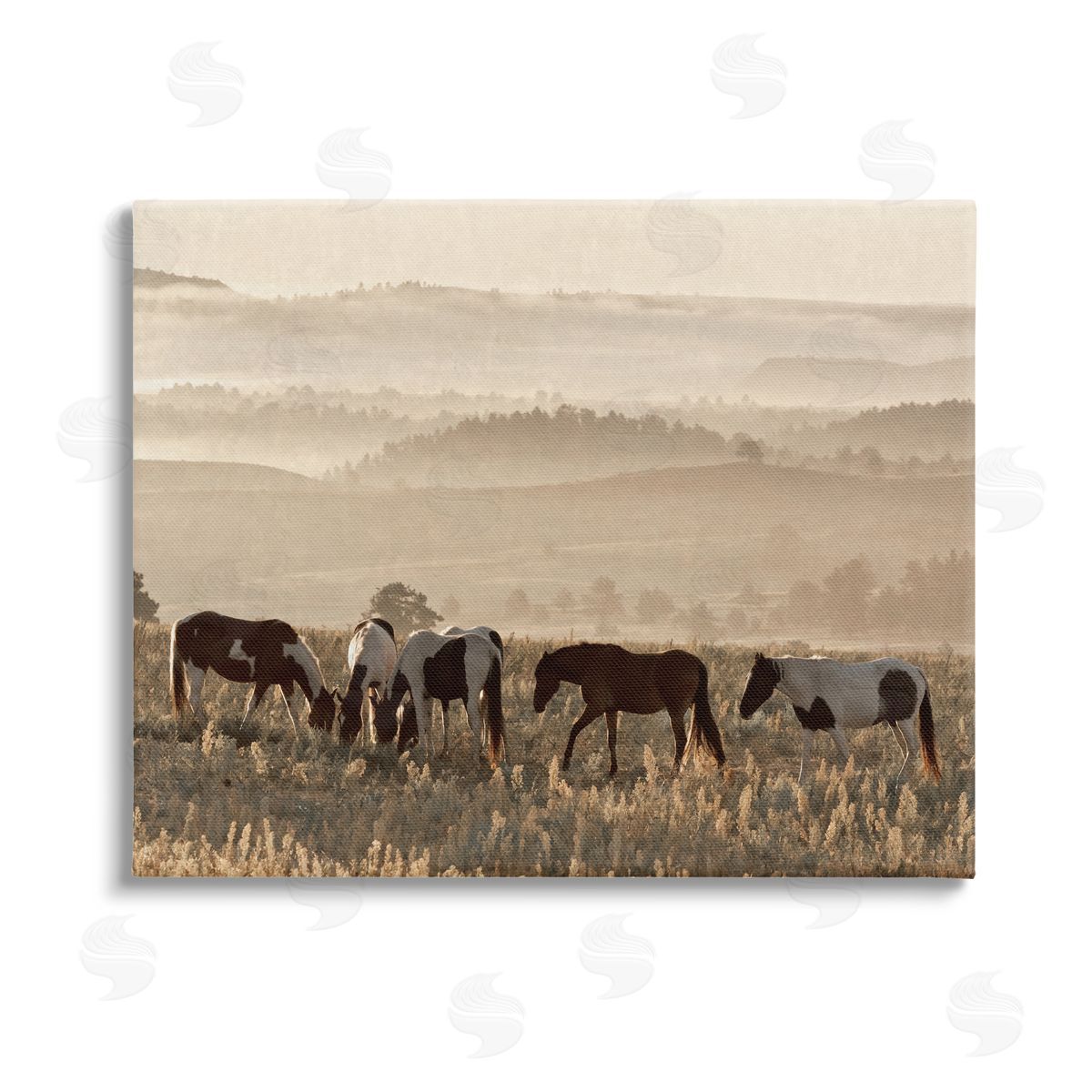 Danita Delimont Horses Grazing Rolling Hills Stretched Canvas Wall Art Print