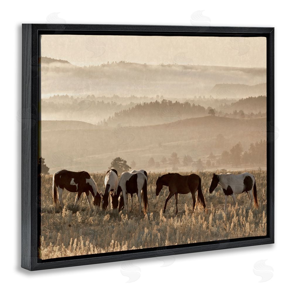 Danita Delimont Horses Grazing Rolling Hills Black Floating Frame Canvas Wall Art Print