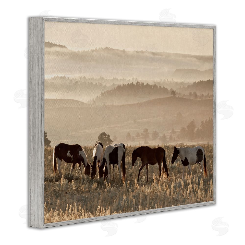 Danita Delimont Horses Grazing Rolling Hills Gray Framed Giclee Wall Art Print