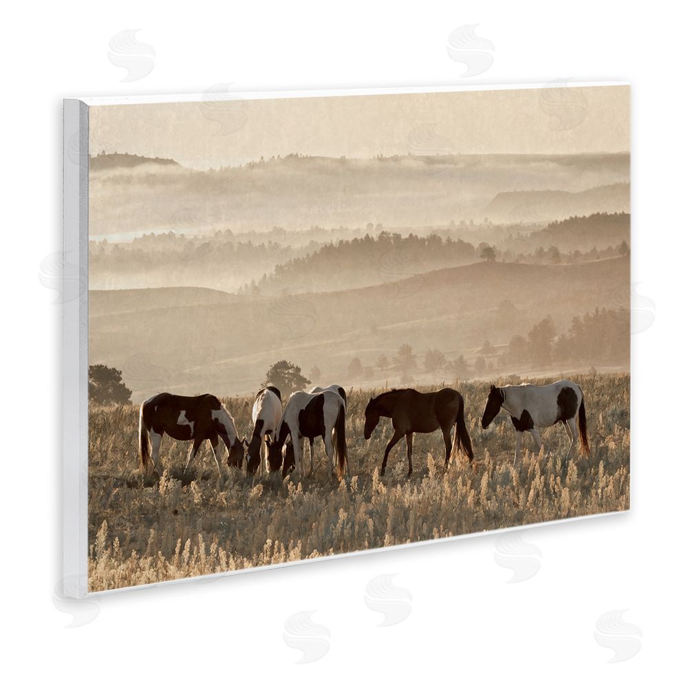 Danita Delimont Horses Grazing Rolling Hills Wall Plaque Art Print