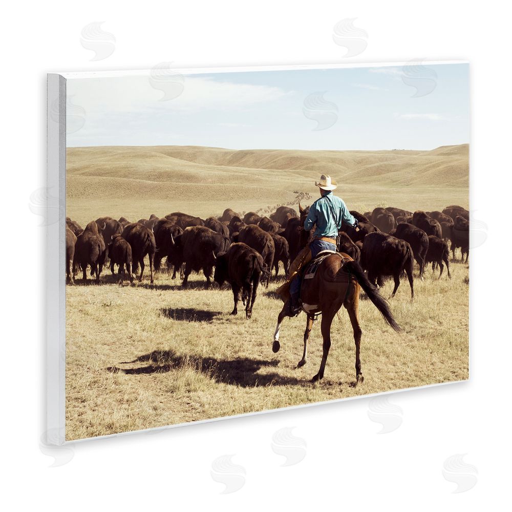 Danita Delimont Cowboy & Cattle in Desert Wall Plaque Art Print