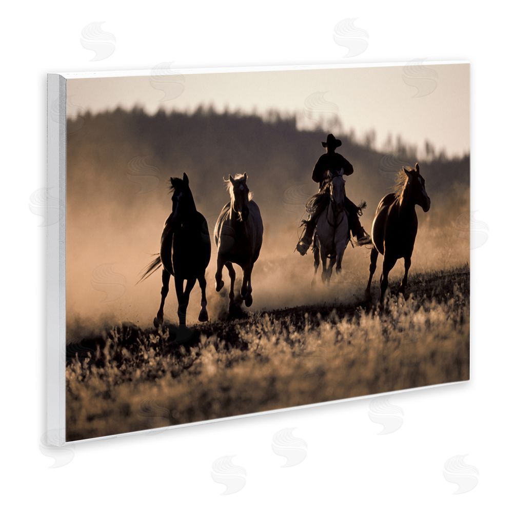 Danita Delimont Southwestern Cowboy at Sunset Wall Plaque Art Print