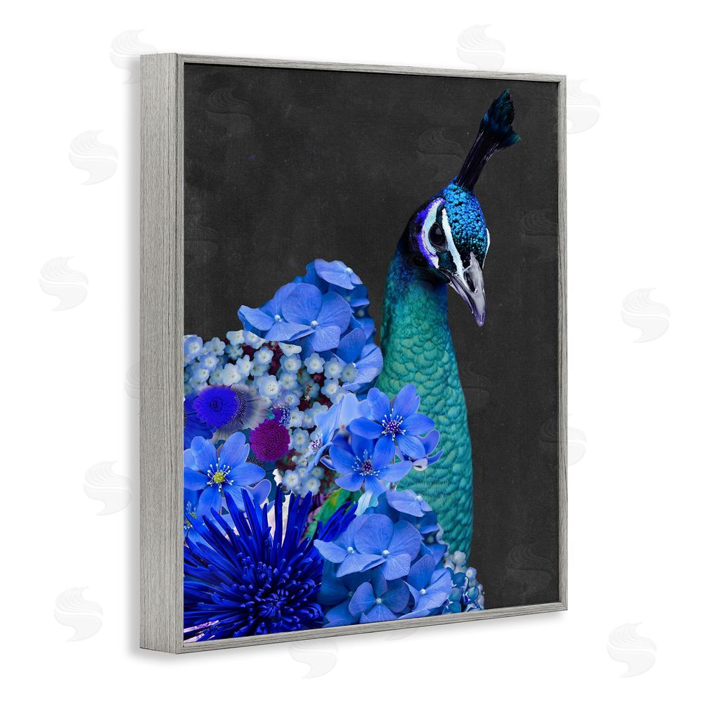 Alicia Longley Peacock with Blue Flowers Gray Framed Giclee Wall Art Print