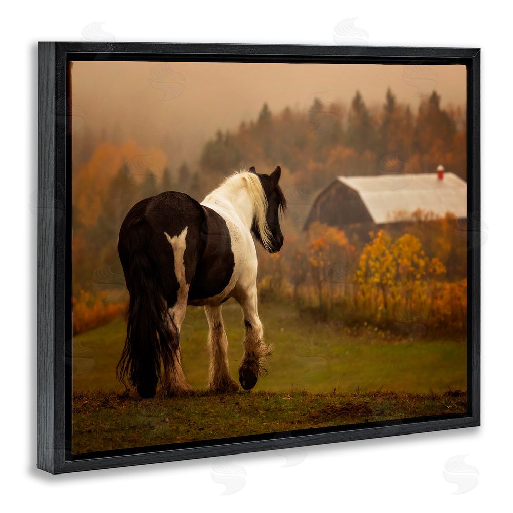 PH Burchett Horse Overlooking Barn Black Floating Frame Canvas Wall Art Print