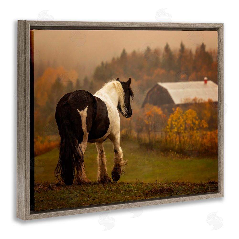 PH Burchett Horse Overlooking Barn Brown Floating Frame Canvas Wall Art Print
