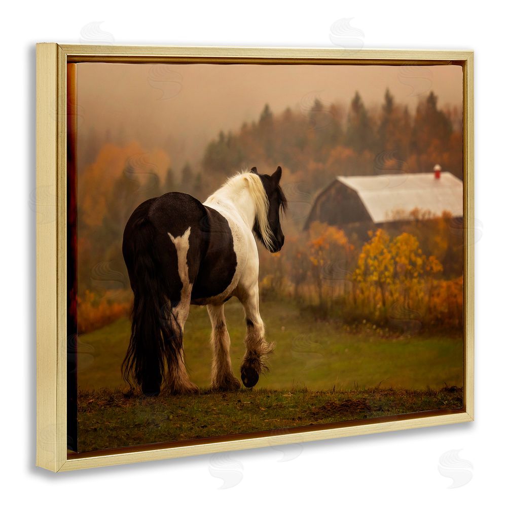PH Burchett Horse Overlooking Barn Gold Floating Frame Canvas Wall Art Print
