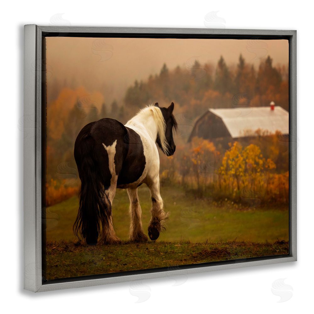 PH Burchett Horse Overlooking Barn Grey Floating Frame Canvas Wall Art Print