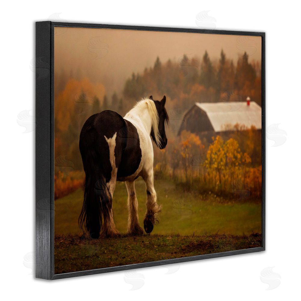 PH Burchett Horse Overlooking Barn Black Framed Giclee Wall Art Print
