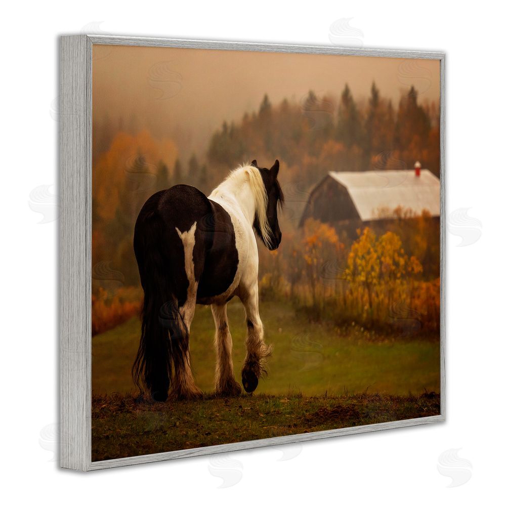 PH Burchett Horse Overlooking Barn Gray Framed Giclee Wall Art Print