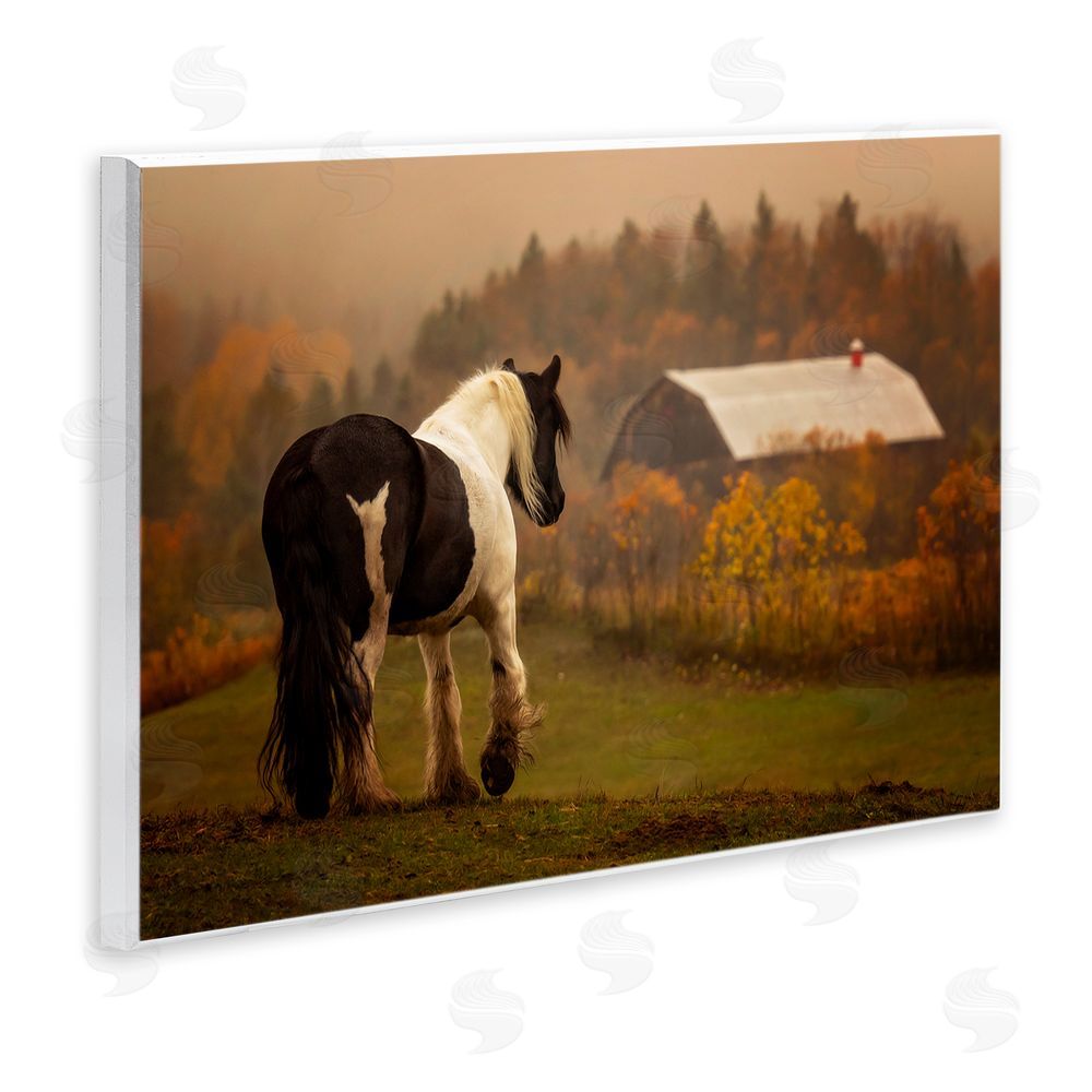 PH Burchett Horse Overlooking Barn Wall Plaque Art Print