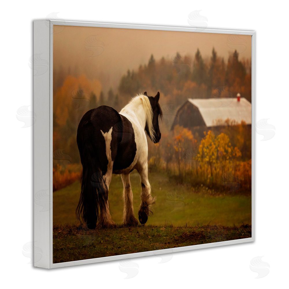 PH Burchett Horse Overlooking Barn White Framed Giclee Wall Art Print