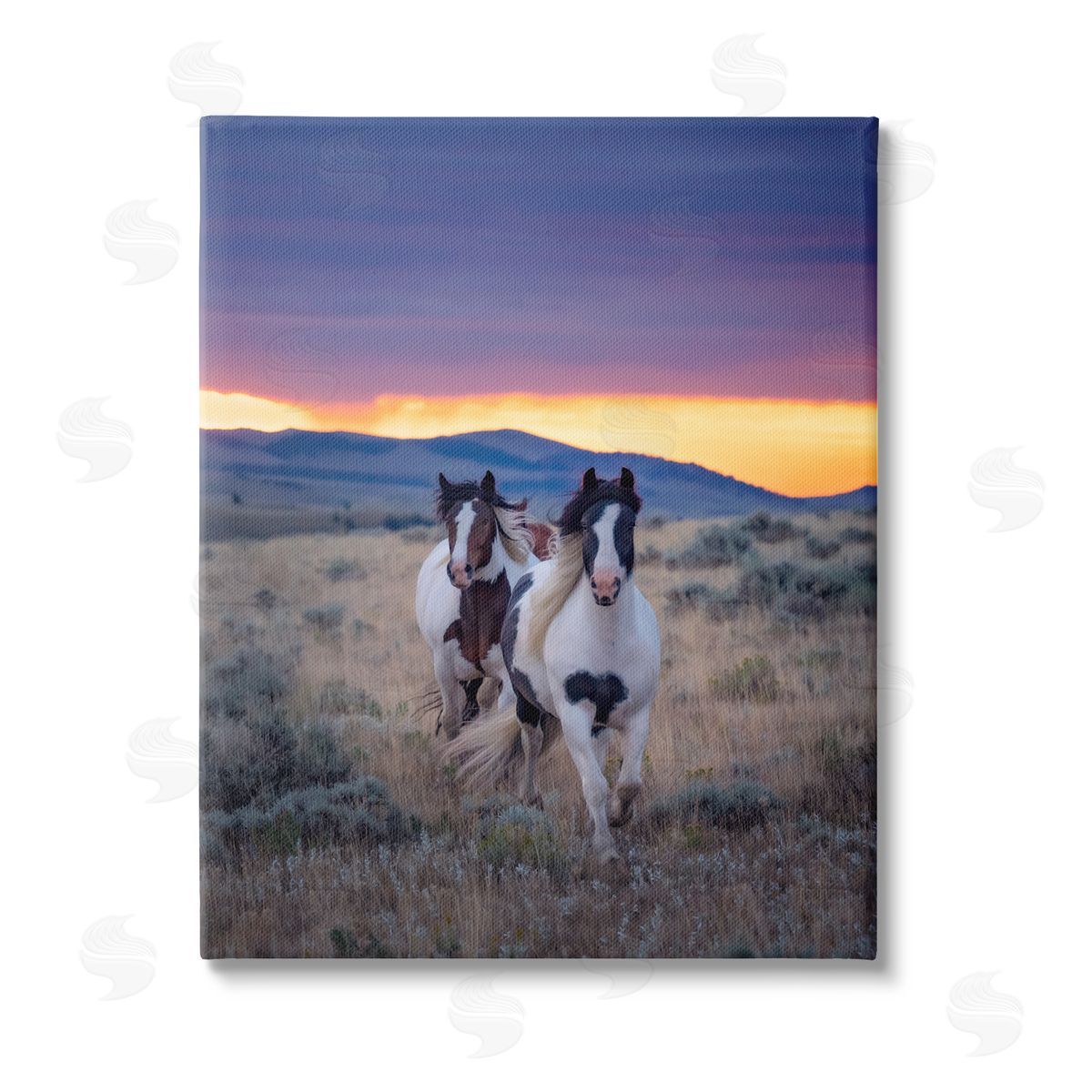 PH Burchett Spotted Horses at Sunrise Stretched Canvas Wall Art Print