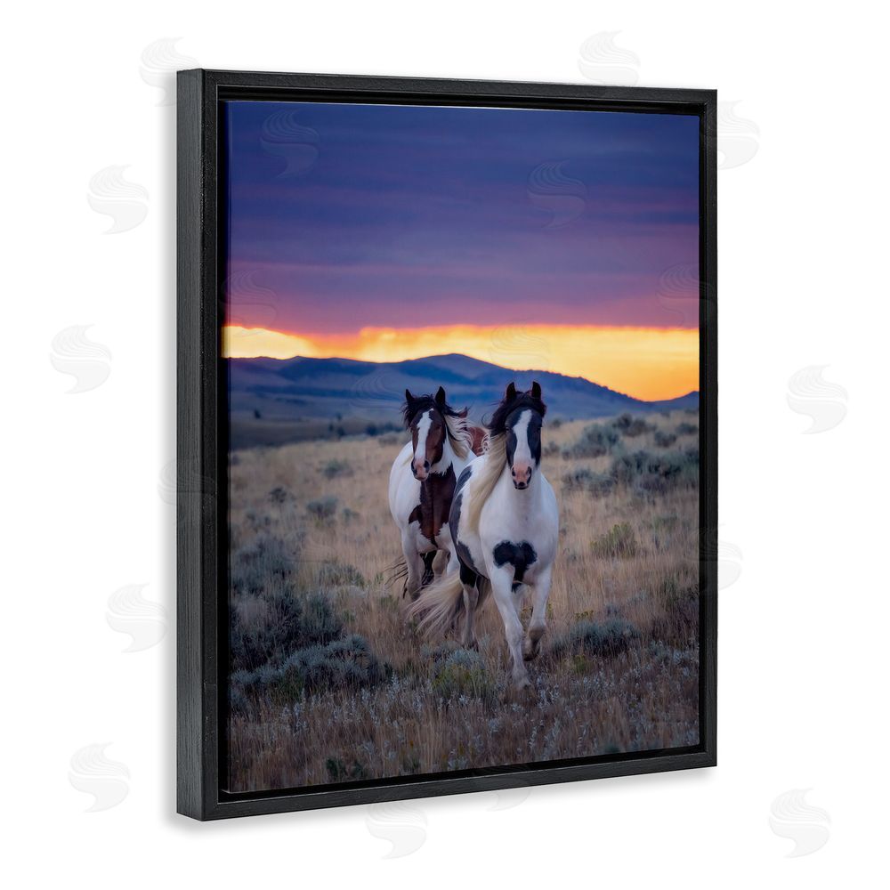 PH Burchett Spotted Horses at Sunrise Black Floating Frame Canvas Wall Art Print