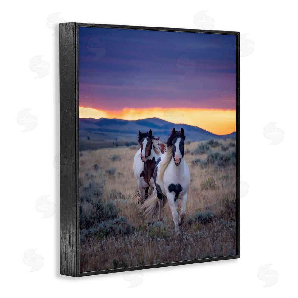 PH Burchett Spotted Horses at Sunrise Black Framed Giclee Wall Art Print