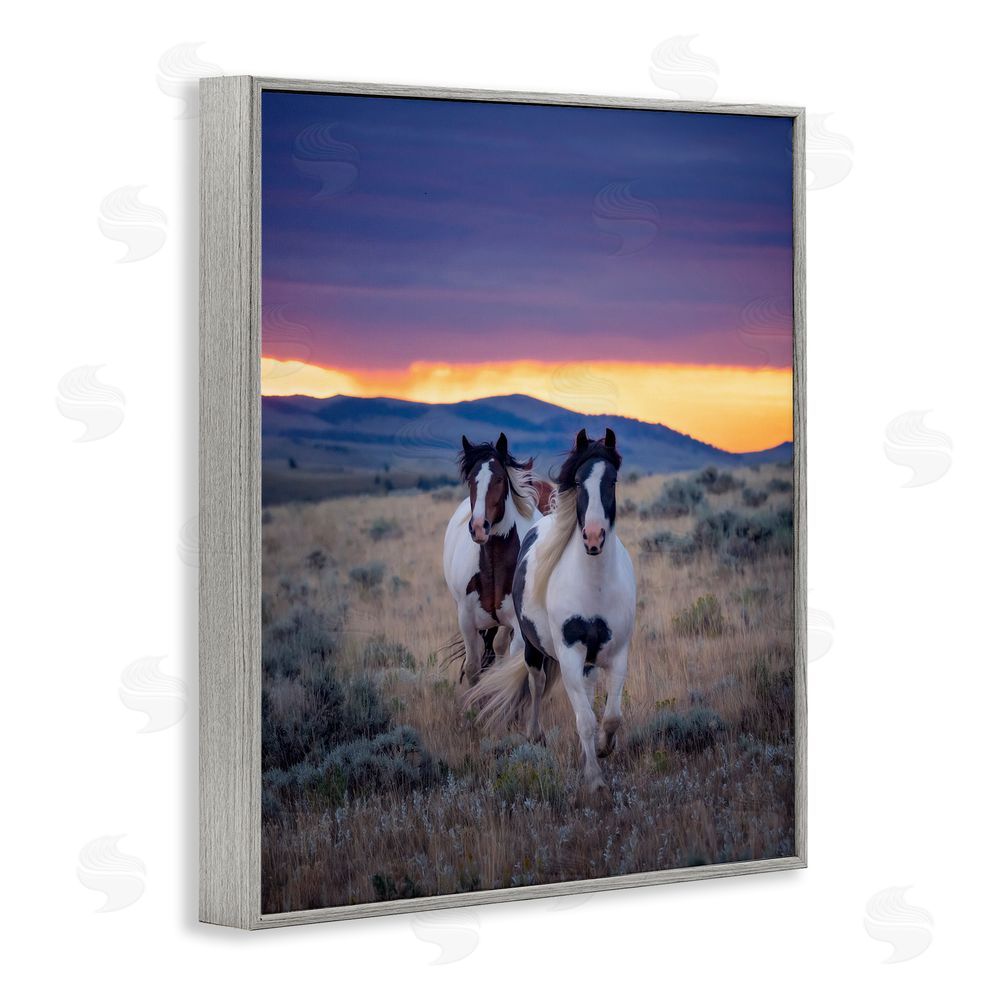 PH Burchett Spotted Horses at Sunrise Gray Framed Giclee Wall Art Print