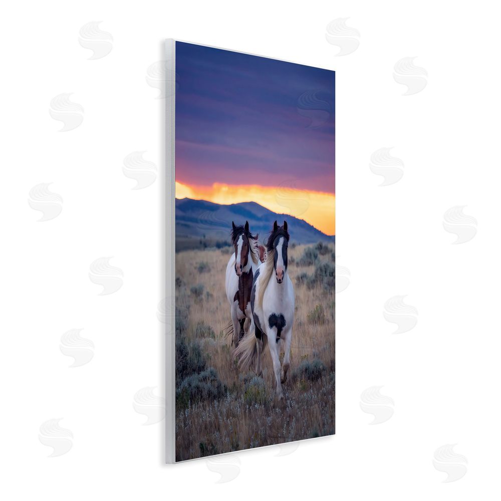 PH Burchett Spotted Horses at Sunrise Wall Plaque Art Print