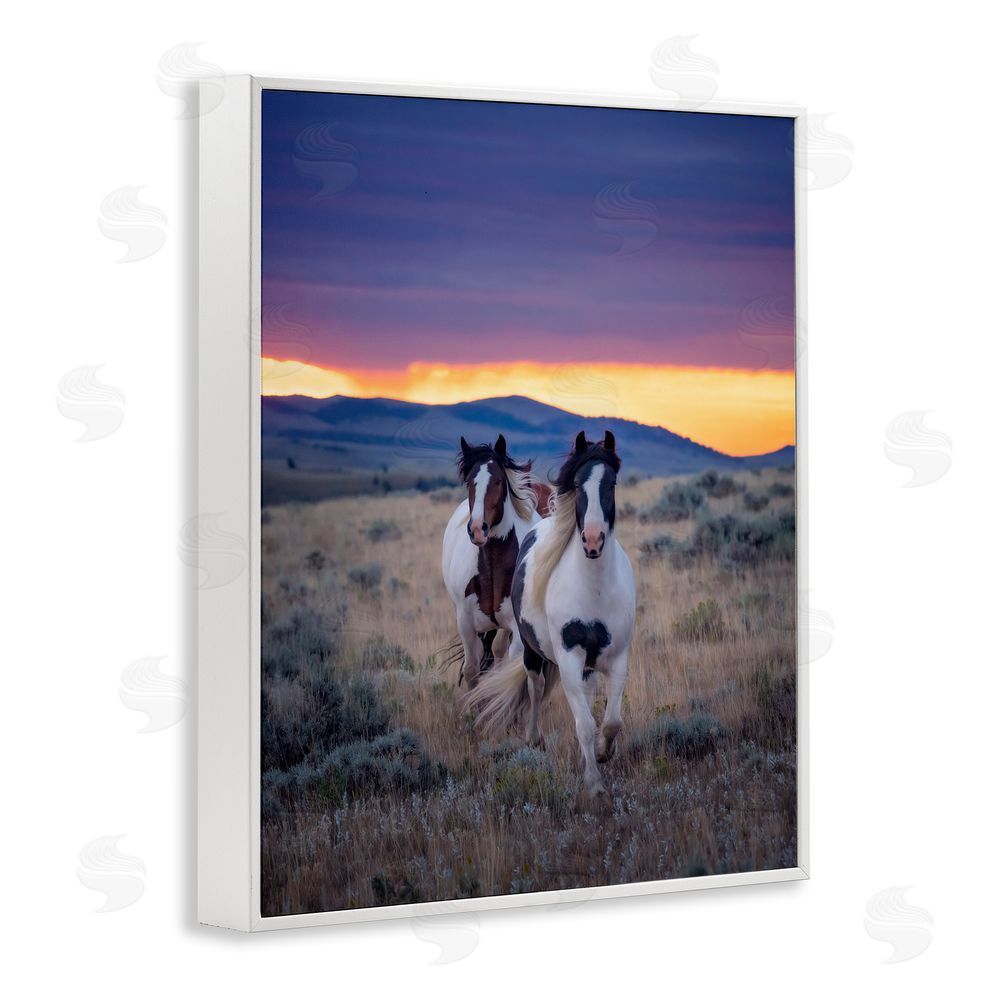 PH Burchett Spotted Horses at Sunrise White Framed Giclee Wall Art Print
