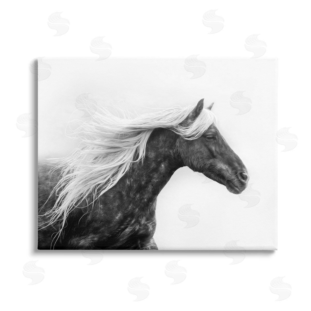 PH Burchett Horse with White Mane Stretched Canvas Wall Art Print
