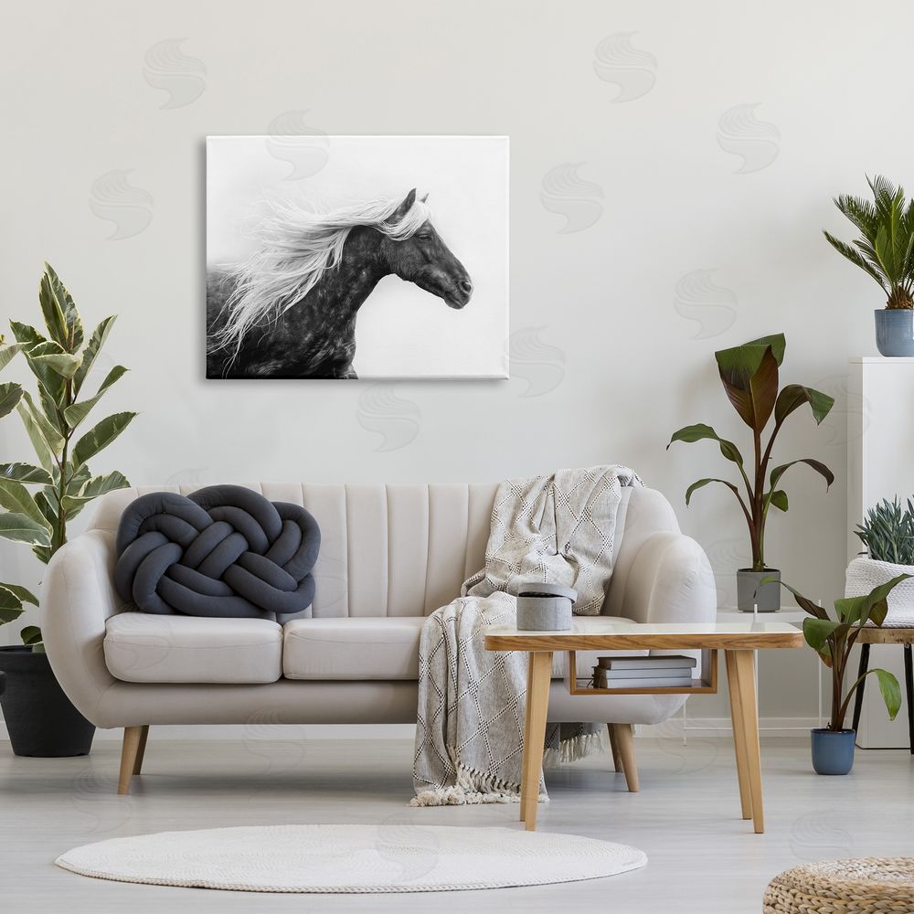 PH Burchett Horse with White Mane Canvas Wall Art Print in Room