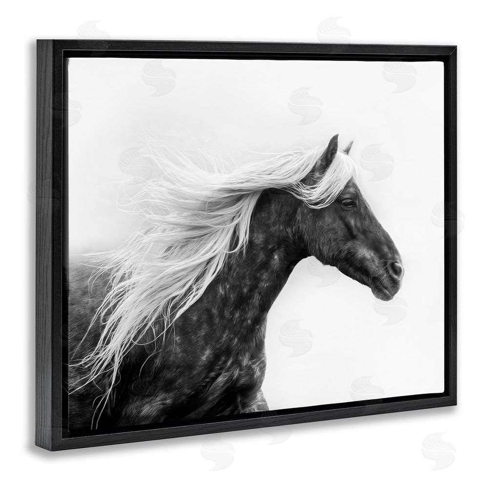 PH Burchett Horse with White Mane Black Floating Frame Canvas Wall Art Print