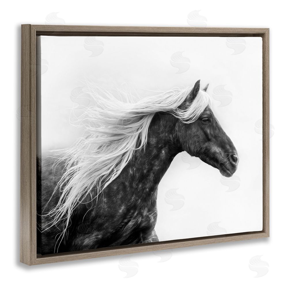 PH Burchett Horse with White Mane Brown Floating Frame Canvas Wall Art Print