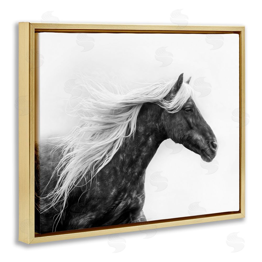PH Burchett Horse with White Mane Gold Floating Frame Canvas Wall Art Print