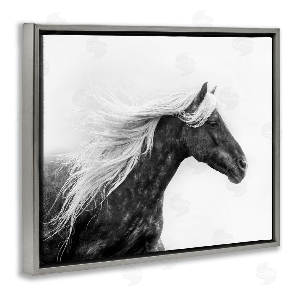 PH Burchett Horse with White Mane Grey Floating Frame Canvas Wall Art Print