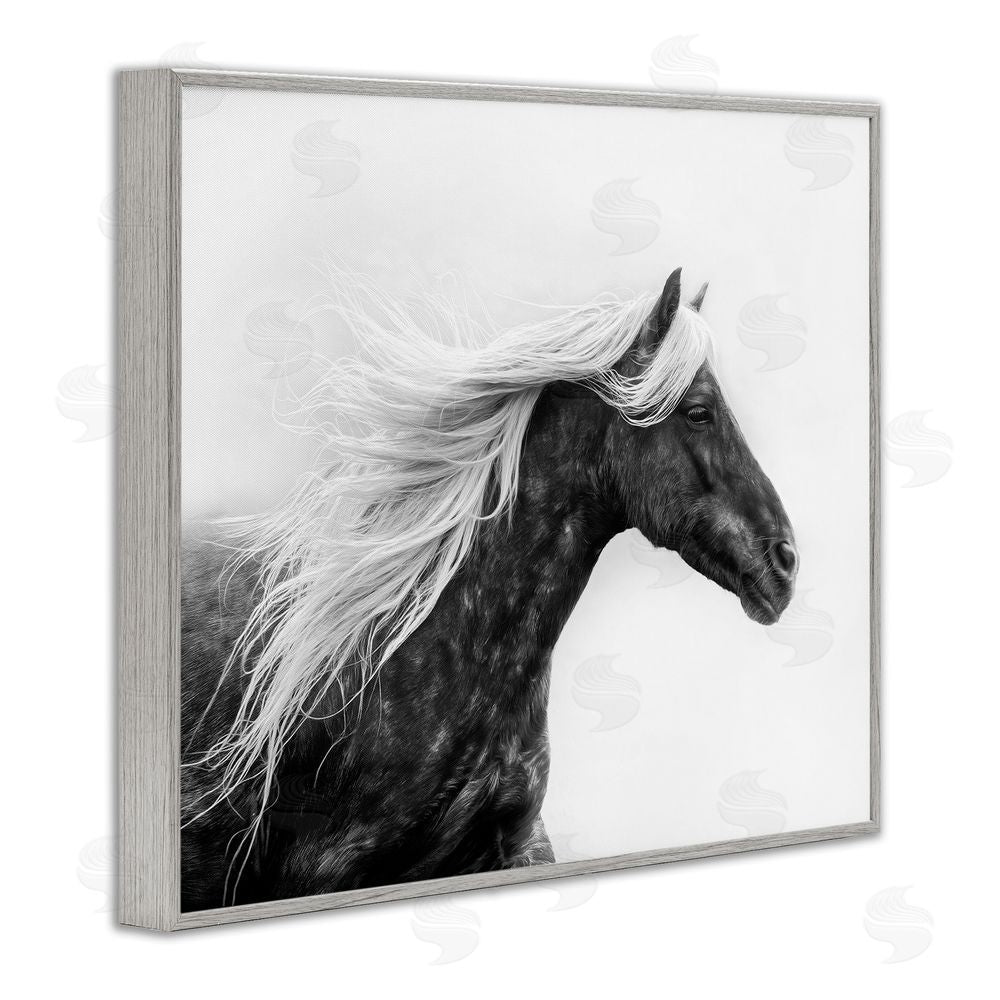 PH Burchett Horse with White Mane Gray Framed Giclee Wall Art Print