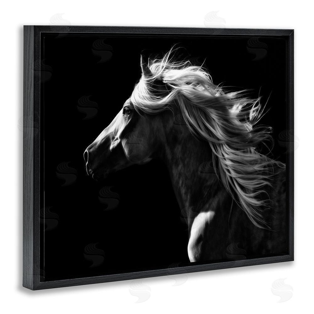 PH Burchett Windblown Stallion Mane Black Floating Frame Canvas Wall Art Print