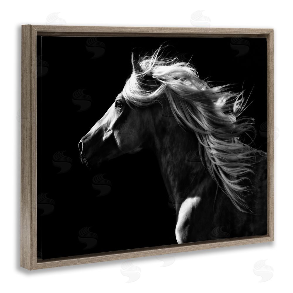 PH Burchett Windblown Stallion Mane Brown Floating Frame Canvas Wall Art Print