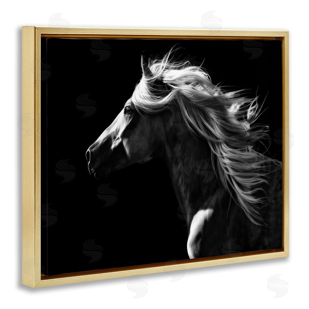 PH Burchett Windblown Stallion Mane Gold Floating Frame Canvas Wall Art Print