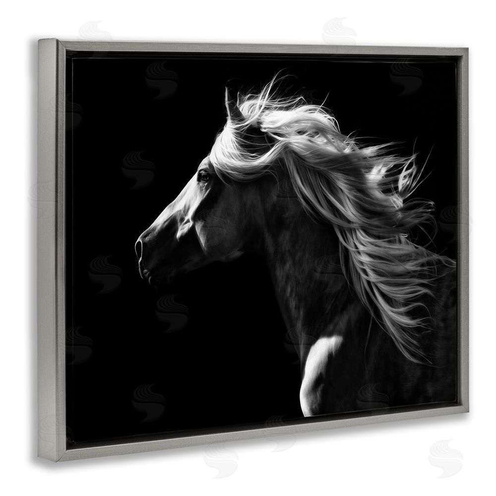 PH Burchett Windblown Stallion Mane Grey Floating Frame Canvas Wall Art Print
