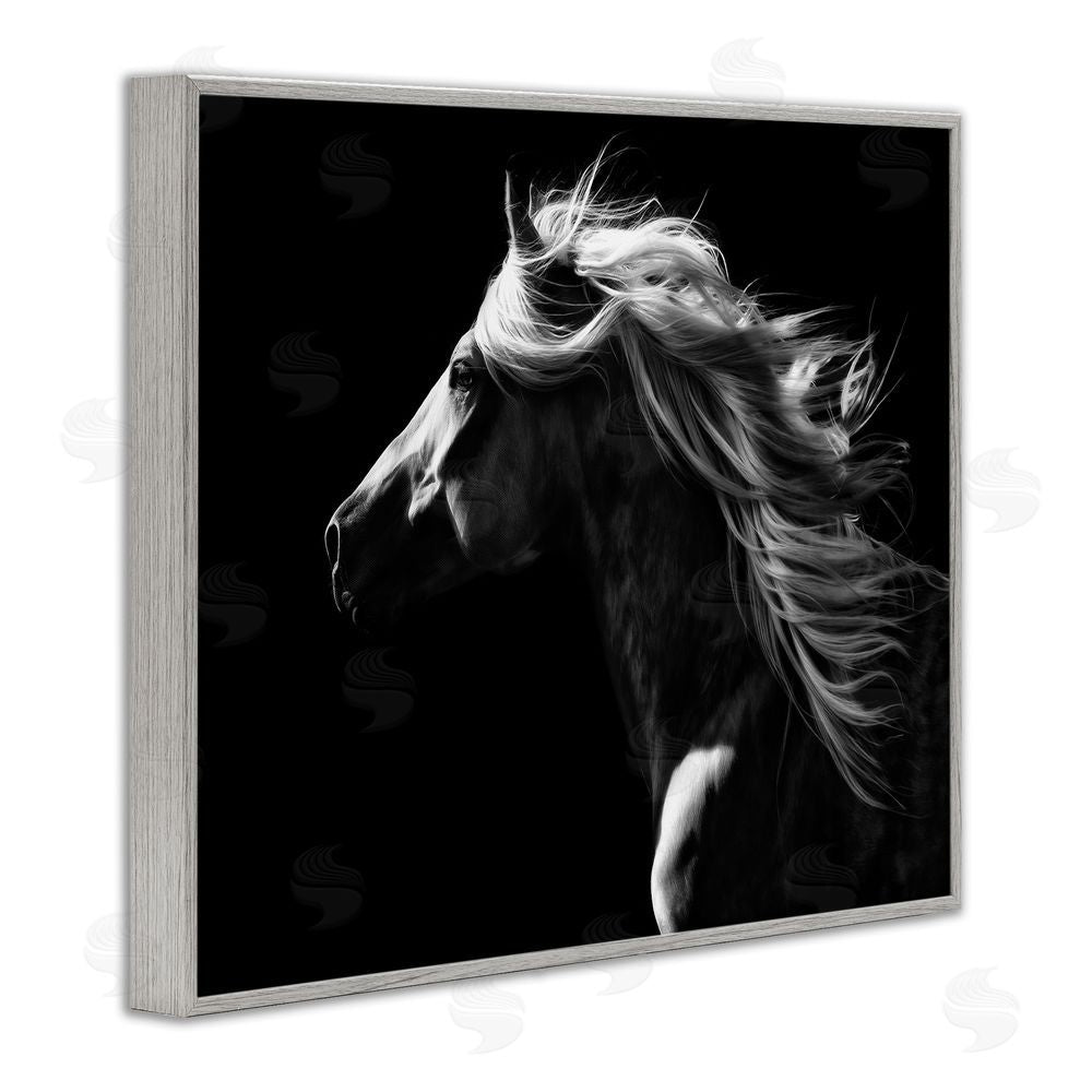 PH Burchett Windblown Stallion Mane Gray Framed Giclee Wall Art Print