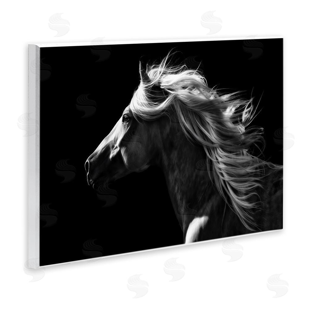 PH Burchett Windblown Stallion Mane Wall Plaque Art Print