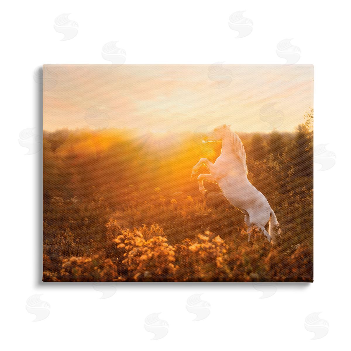 PH Burchett Standing Horse in Rising Sun Stretched Canvas Wall Art Print