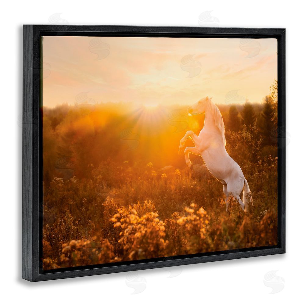 PH Burchett Standing Horse in Rising Sun Black Floating Frame Canvas Wall Art Print