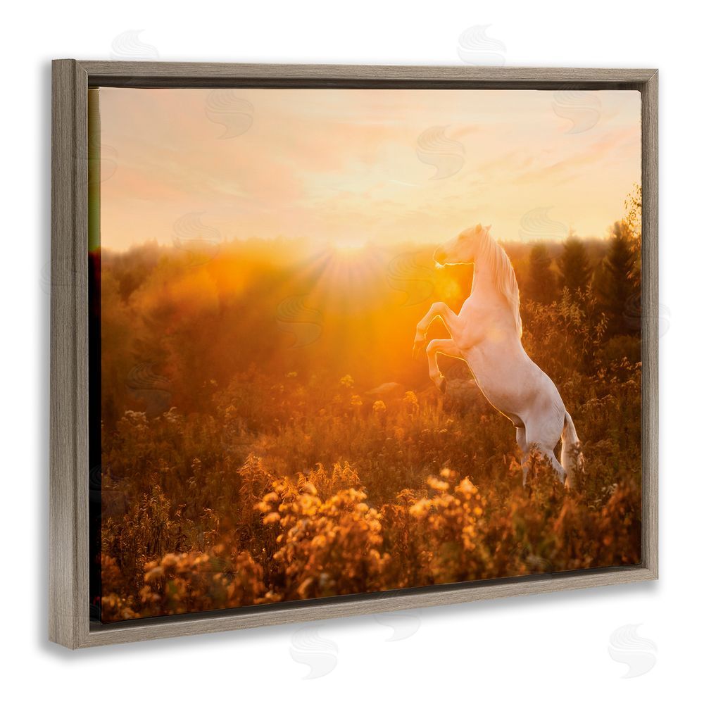 PH Burchett Standing Horse in Rising Sun Brown Floating Frame Canvas Wall Art Print