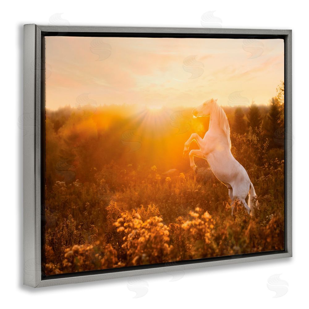 PH Burchett Standing Horse in Rising Sun Grey Floating Frame Canvas Wall Art Print