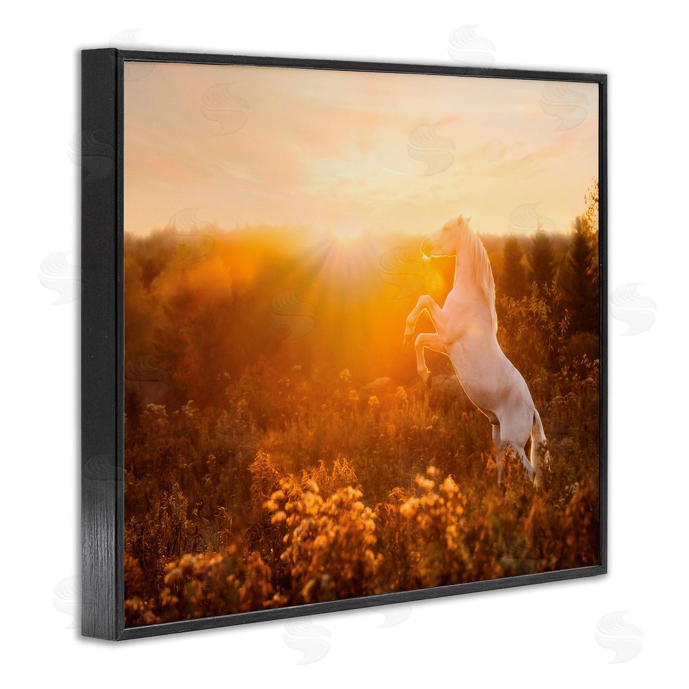 PH Burchett Standing Horse in Rising Sun Black Framed Giclee Wall Art Print
