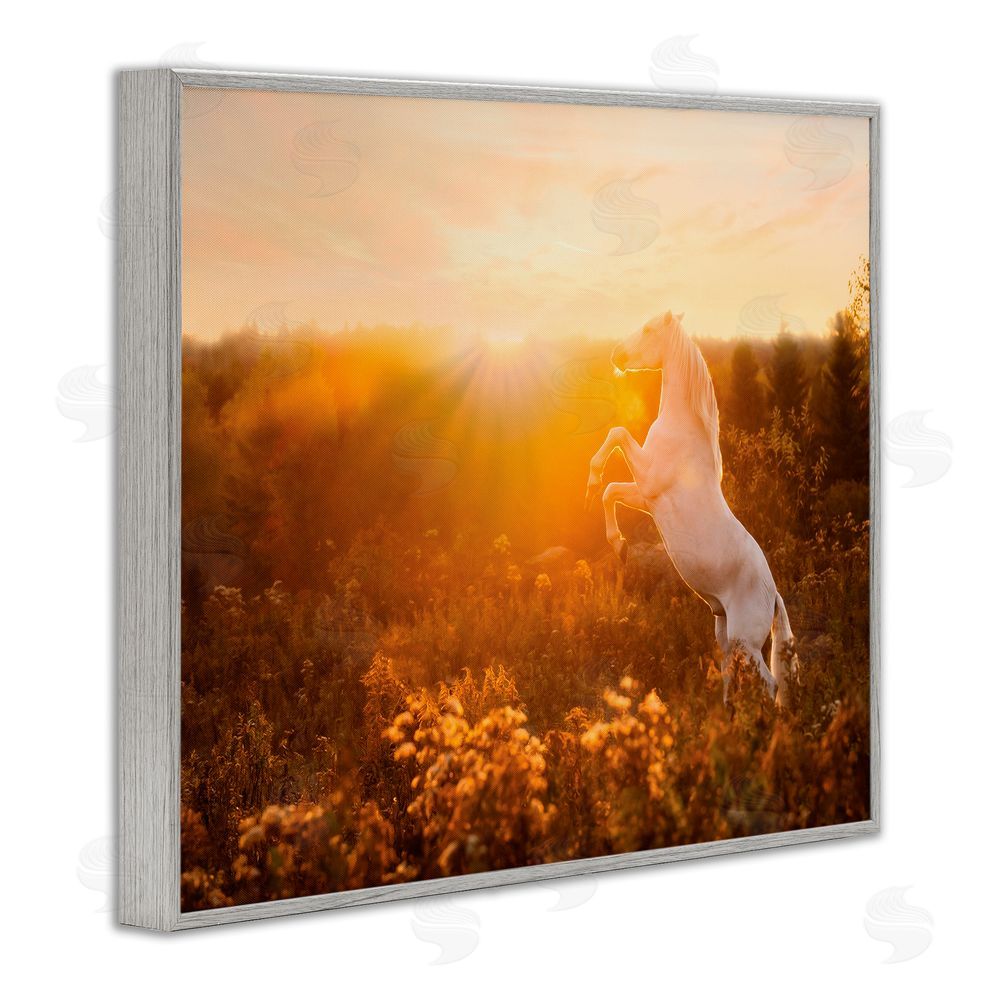PH Burchett Standing Horse in Rising Sun Gray Framed Giclee Wall Art Print